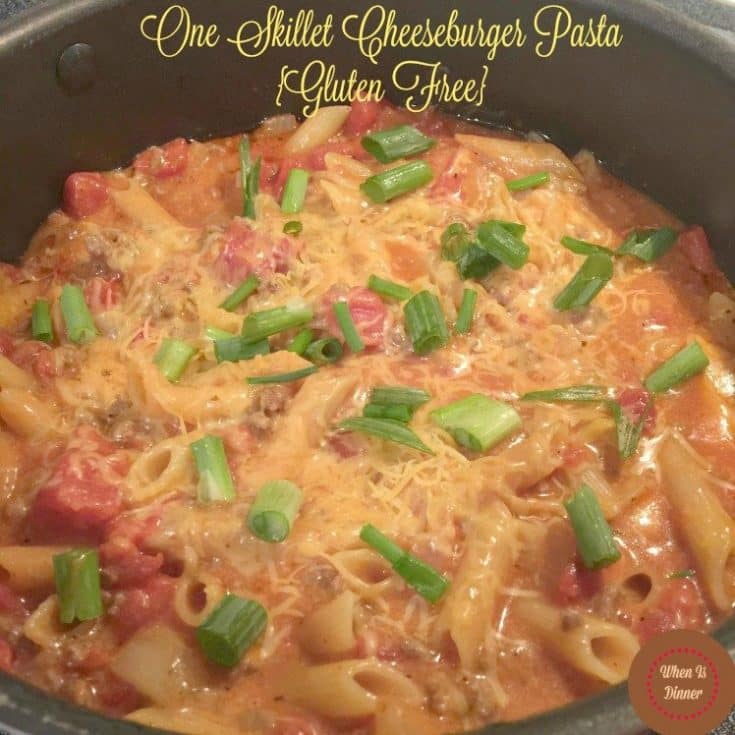 One Pot Cheeseburger Pasta {Gluten Free}