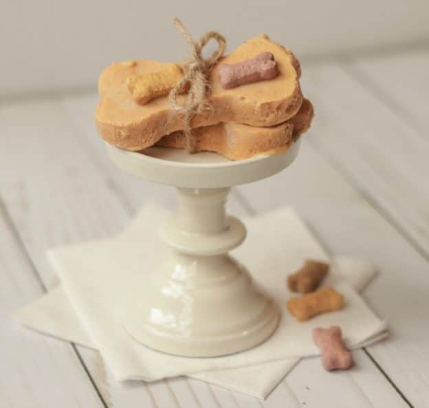 Frozen Dog Bone Treats When is Dinner Frozen Dog Bone Treats