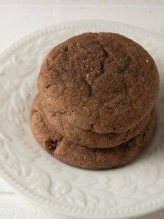 Chocolate Snickerdoodles Story When is Dinner
