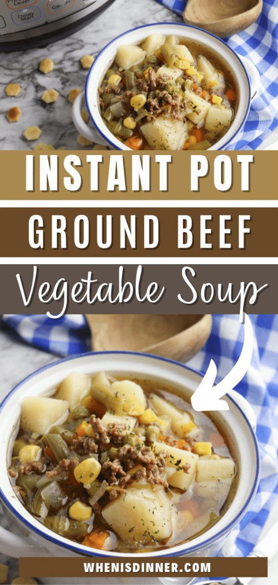 Instant Pot Ground Beef Vegetable Soup When is Dinner